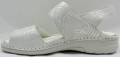DSCN9555.JPG